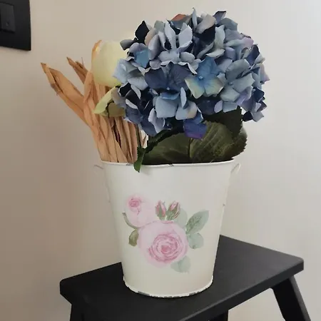 Casa Pepito דירה בוליאסקו